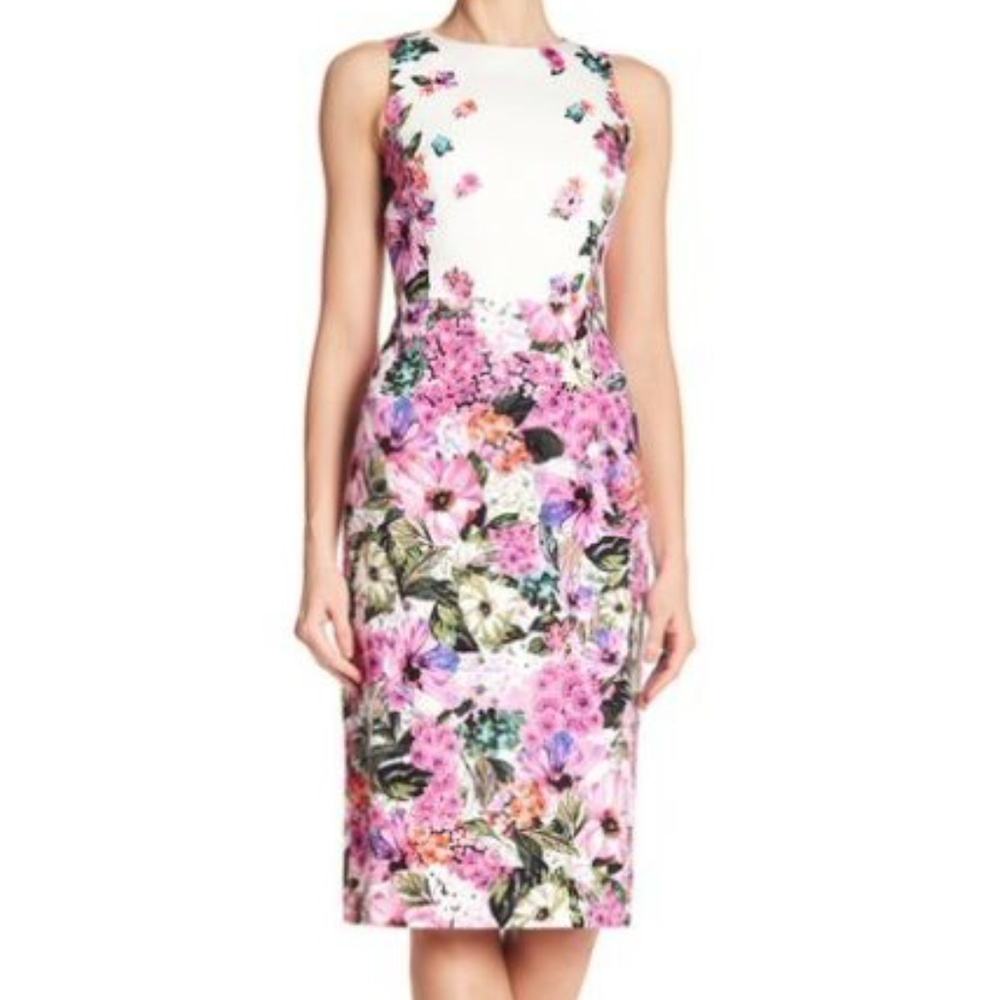 MAGGY LONDON FLORAL GARDEN COTTON SHEATH DRESS